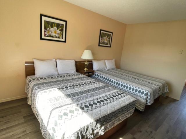 Y-5 Motel Barrière Extérieur photo